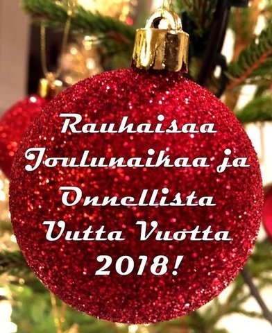 Hyvää Joulua ja Onnellista Uutta Vuotta!